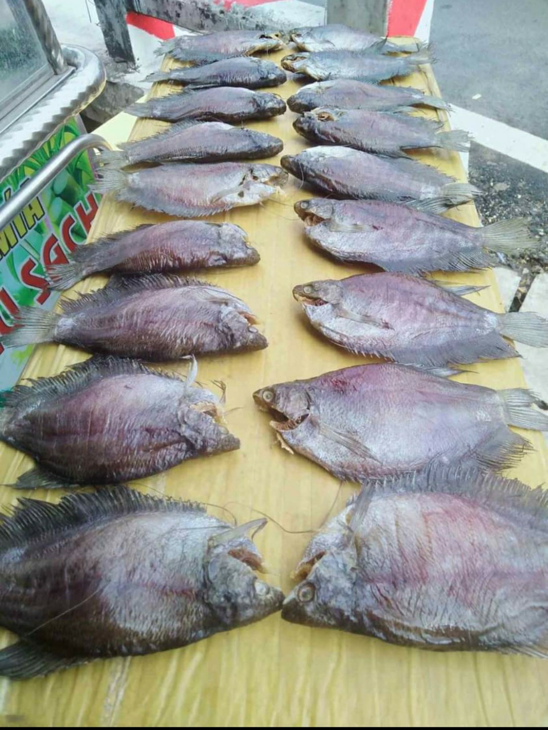 Khô sặc rằn (Sặc bổi - Cà Mau) 10con/kí