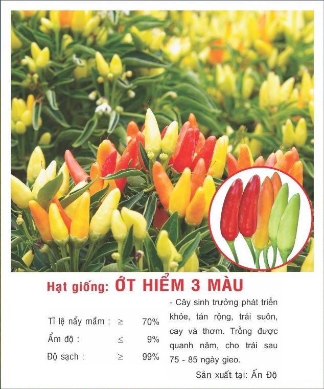 Hạt giống Ớt hiểm ba màu VTP149 | Vạn Tín Store