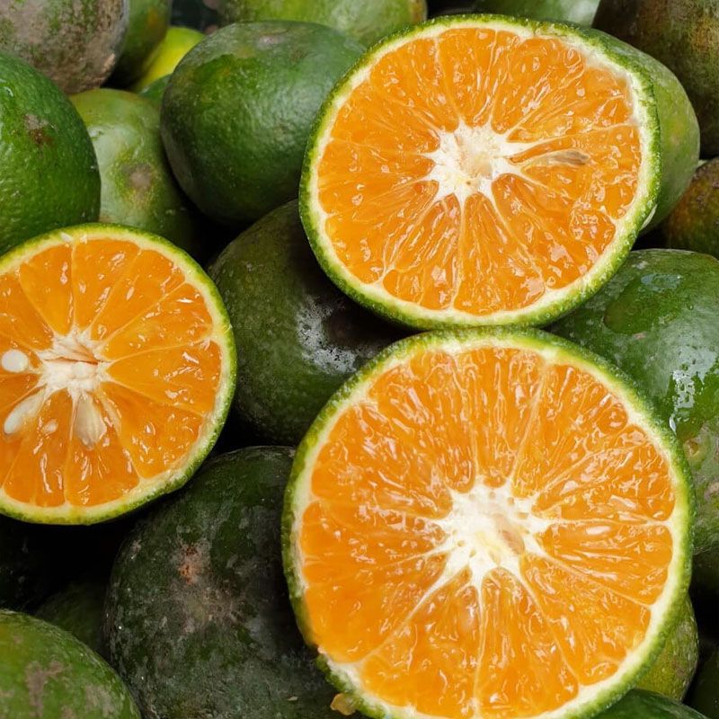 [HCM] Cam Sành Vắt Nước – tươi ngon, mọng nước, hương vị đặc trưng