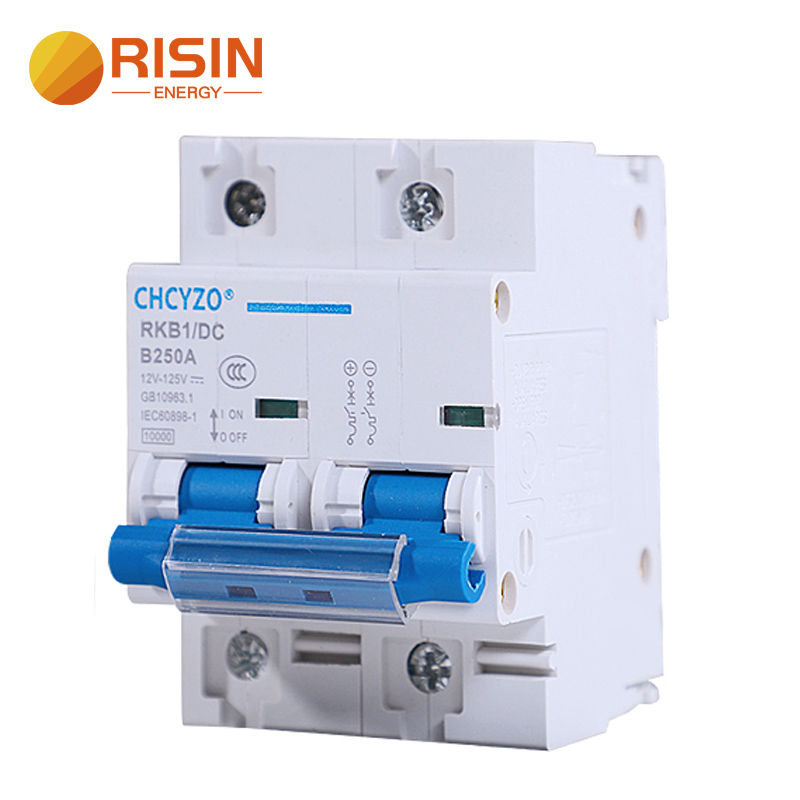 Fast Delivery RISIN CHCYZO 1P 2P DC Breaker Battery Switch High Current