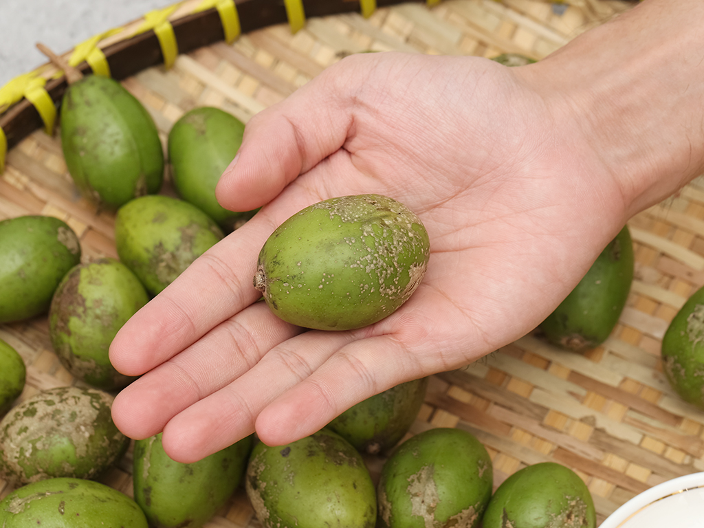 500gr cóc non cóc thái cóc bao tử ăn liền