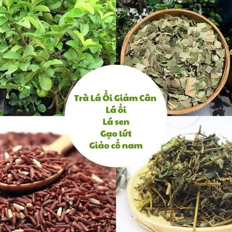Trà giảm cân lá ổi