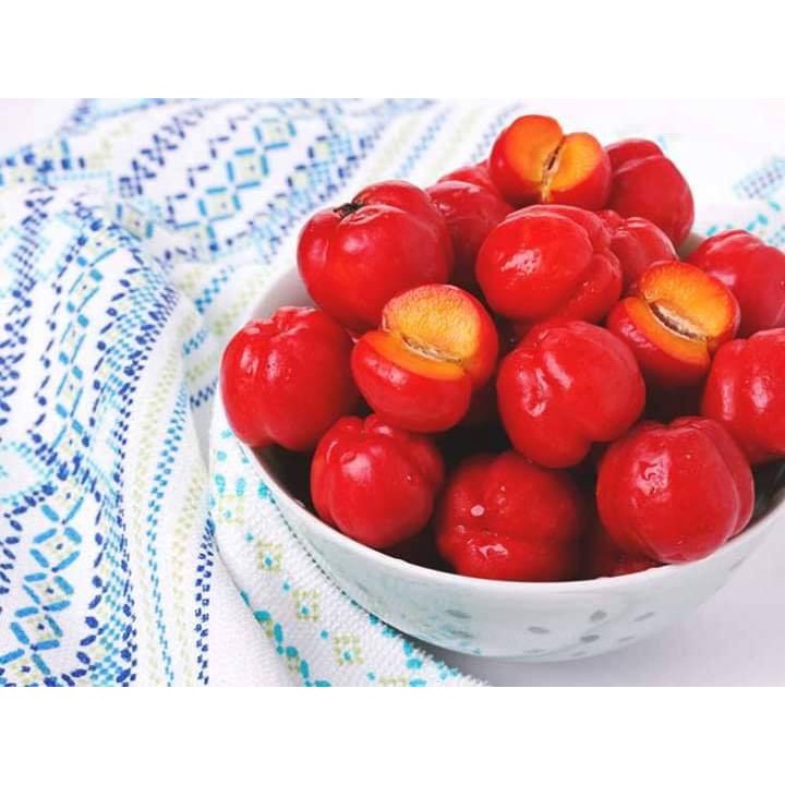 Acerola Ulmf