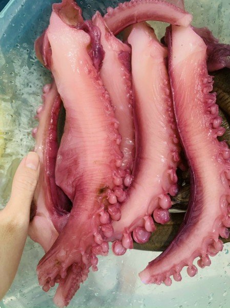 Râu bạch tuộc khổng lồ giòn dai gói 1kg có thể bảo quản lâu chế biến nhiều món thumbnail