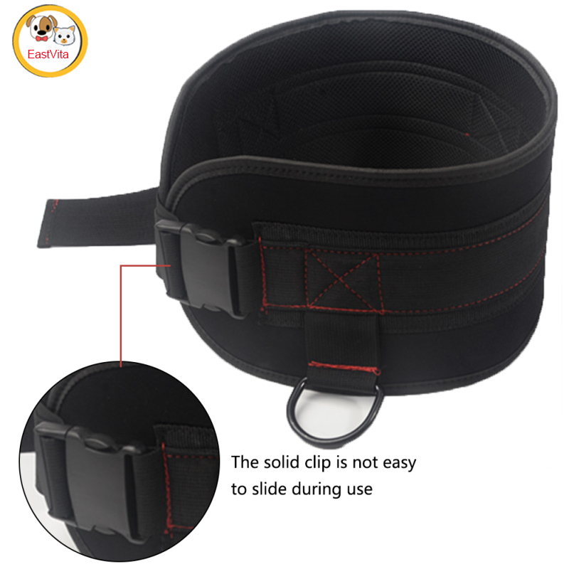 Professional Weightlifting Belt With Chain Gym Workout Pull Ups Belt For Weight Lifting Squat Training Fitness