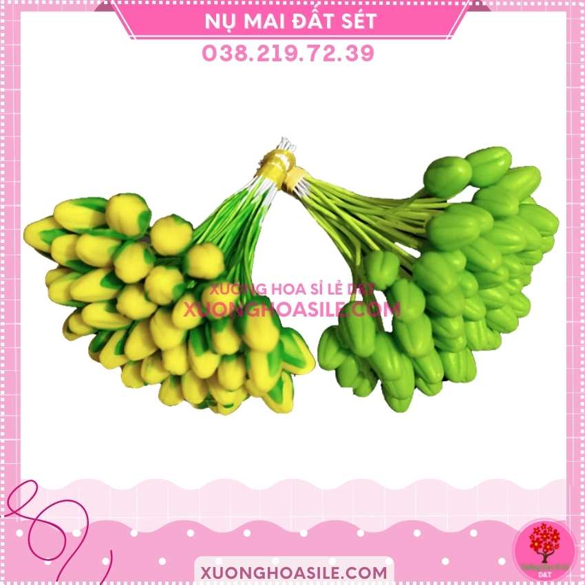 [HCM]NỤ MAI GIẢ, NỤ MAI ĐẤT SÉT