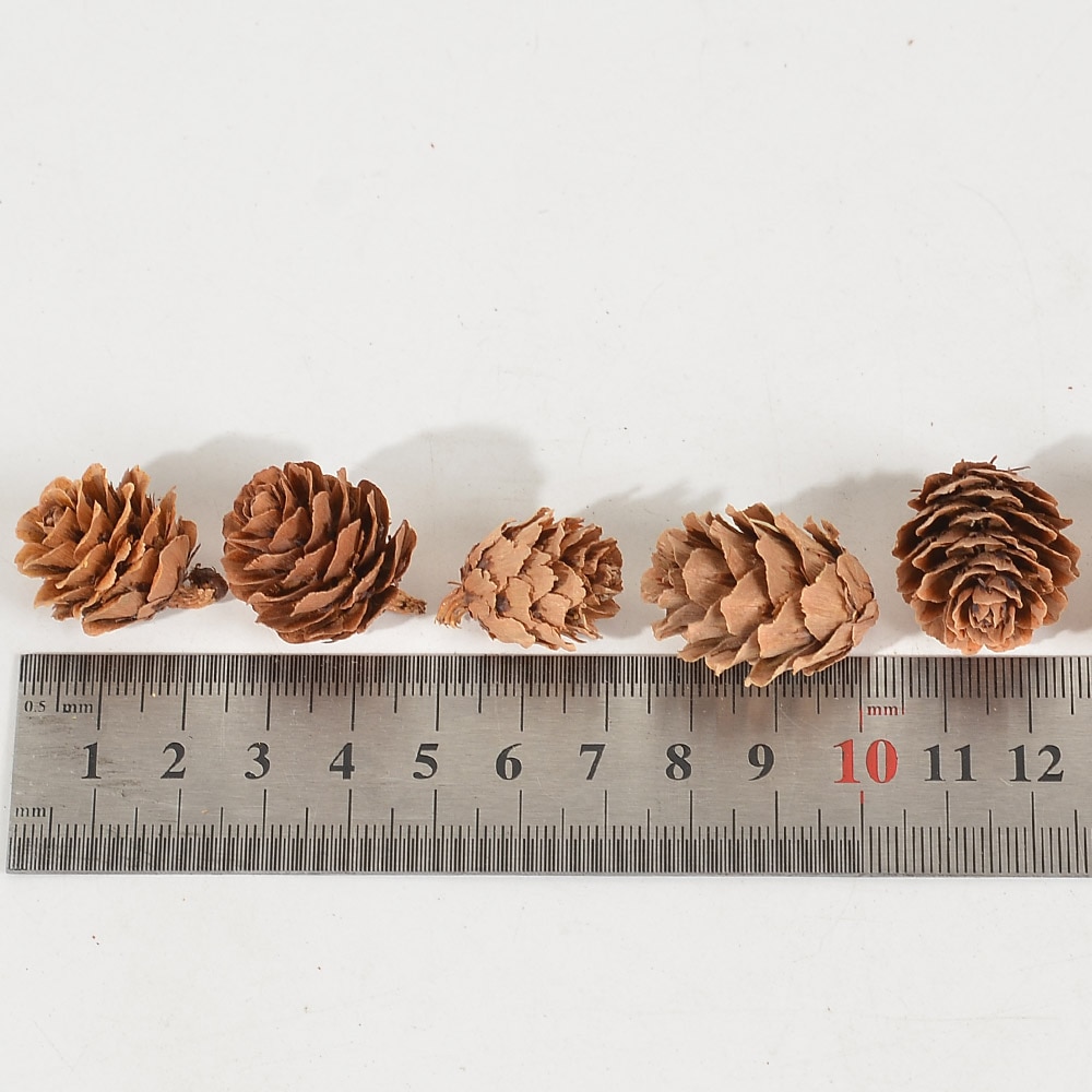 【Worth-Buy】 10/50pcs Natural Mini Pine Nuts Artificial Fruit Vegetable For Diy Home Wedding Decoration Tree Decoration