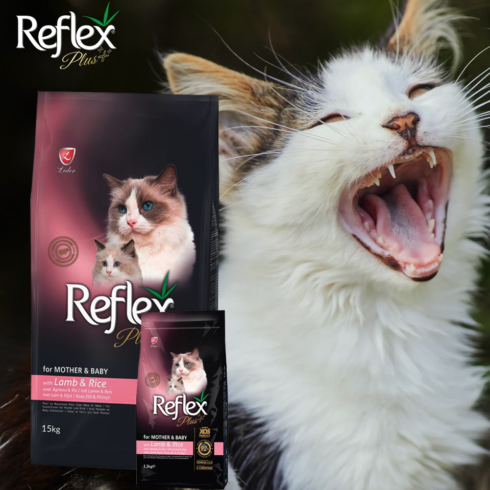 Hạt Reflex Plus cho mèo các loại túi 1,5kg
