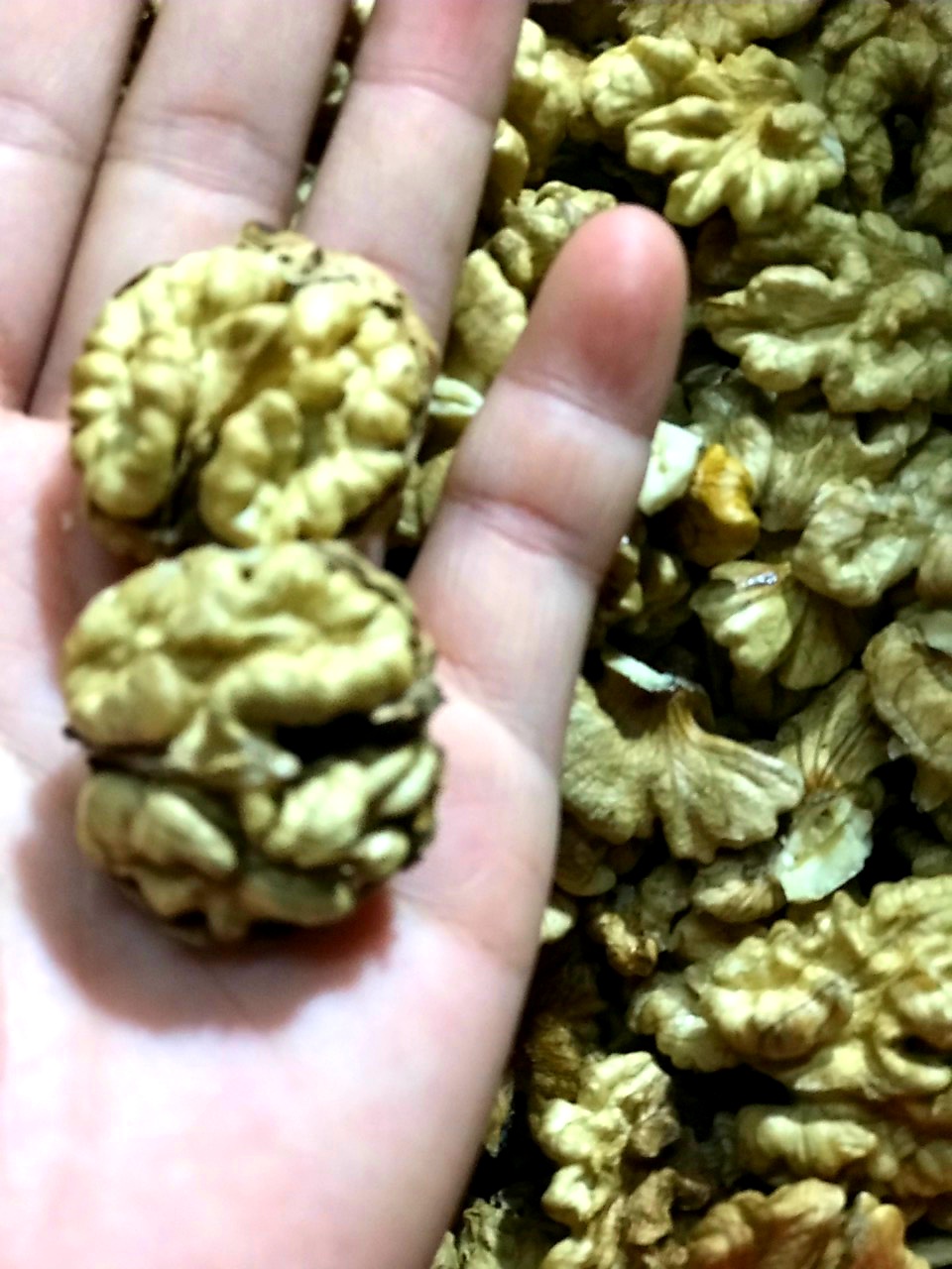 NHÂN HẠT ÓC CHÓ NẾP SẤY GIÒN THƠM