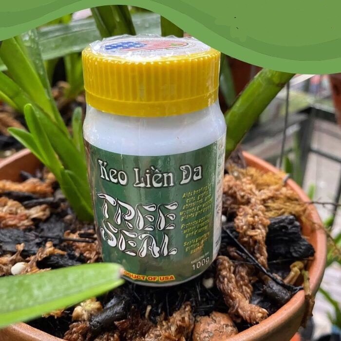 Keo đen liền sẹo cây của Mỹ 200g