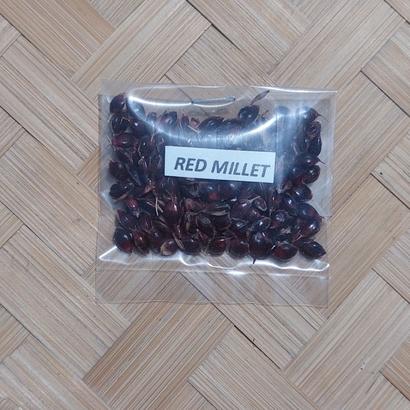 ☑ Livestocks Forage Grass Seeds/ Maramais Indigofera Flemingia