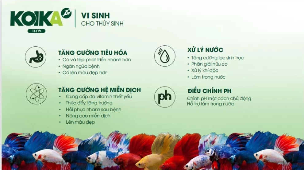 KOIKA BAC+ .Men Vi Sinh Tiêu Hóa Cho Cá Cảnh Thủy Sinh