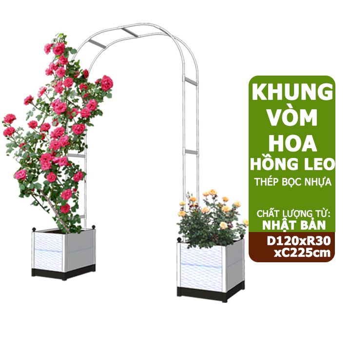 Khung vòm hoa hồng leo, Nhật Bản, Daim, D120xR30xC225cm, dễ lắp ráp, độ bền 5 năm
