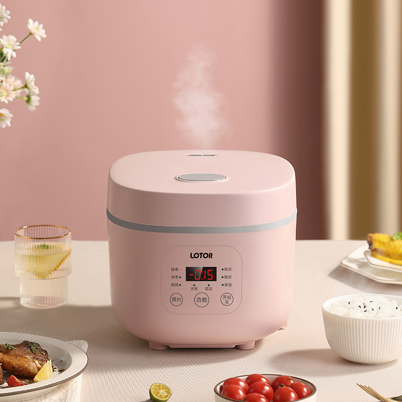 small korean rice cooker