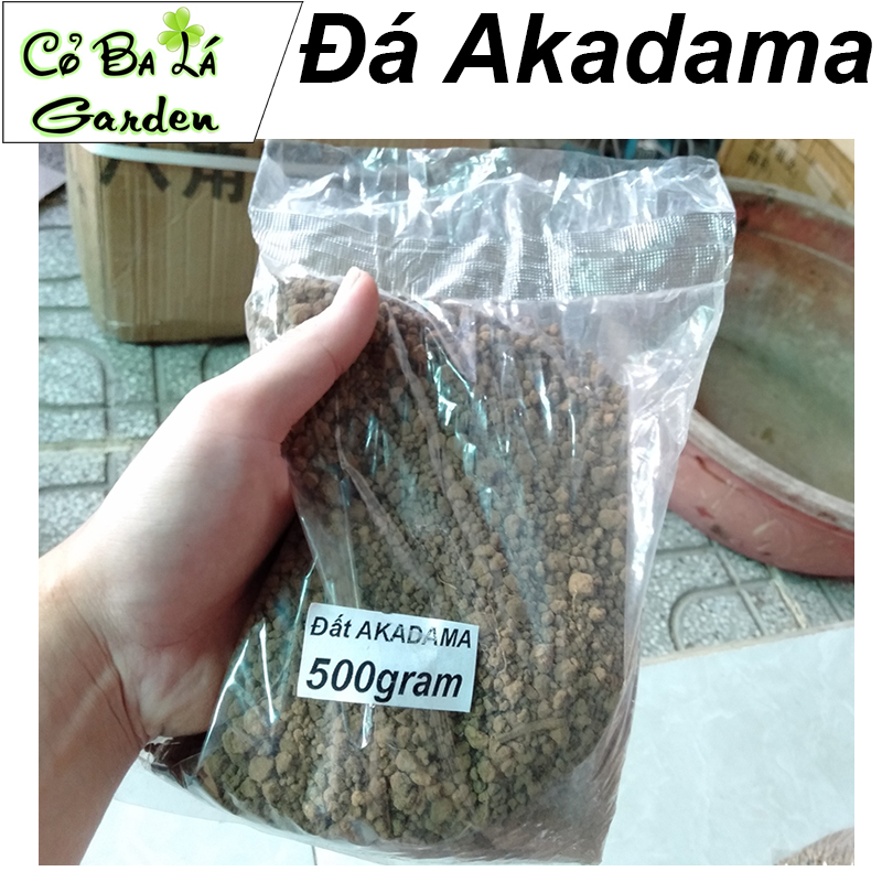 Đá Akadama Nhật Bản (500gr - size 1-3mn)