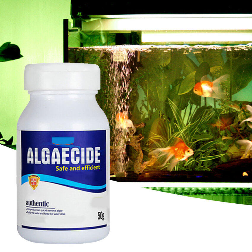 50 กรัม Aquarium Fish Tank Algaecide ยากำจัดตะไคร่น้ำ ยาทำความสะอาดตู้