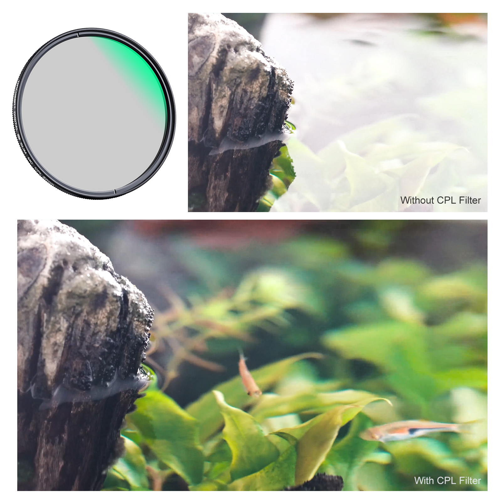K&F Concept MC CPL Lens Filter Green Coating Ultra-thin Frame Filter