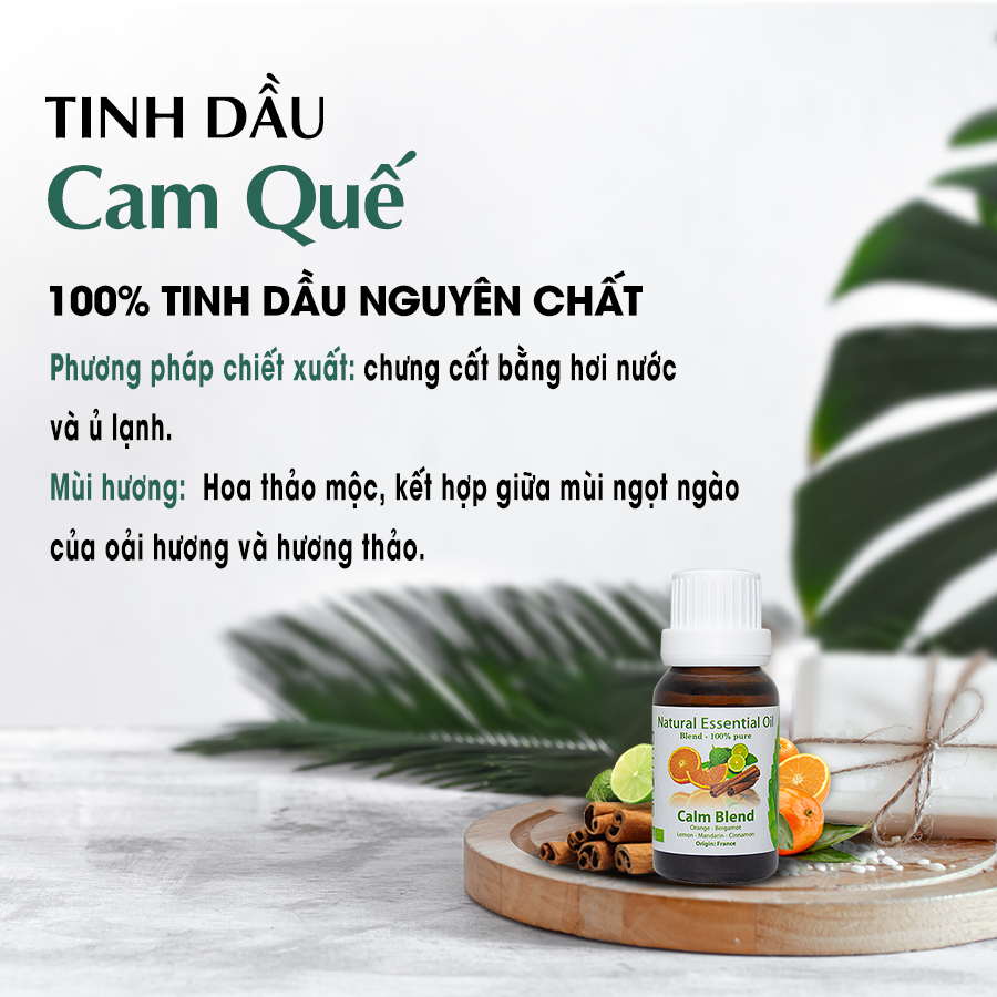 Cinnamon-calm blend essential oil