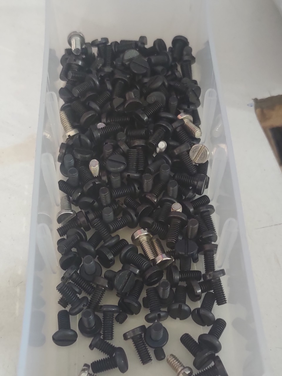 ốc bát dao trên vắt sổ