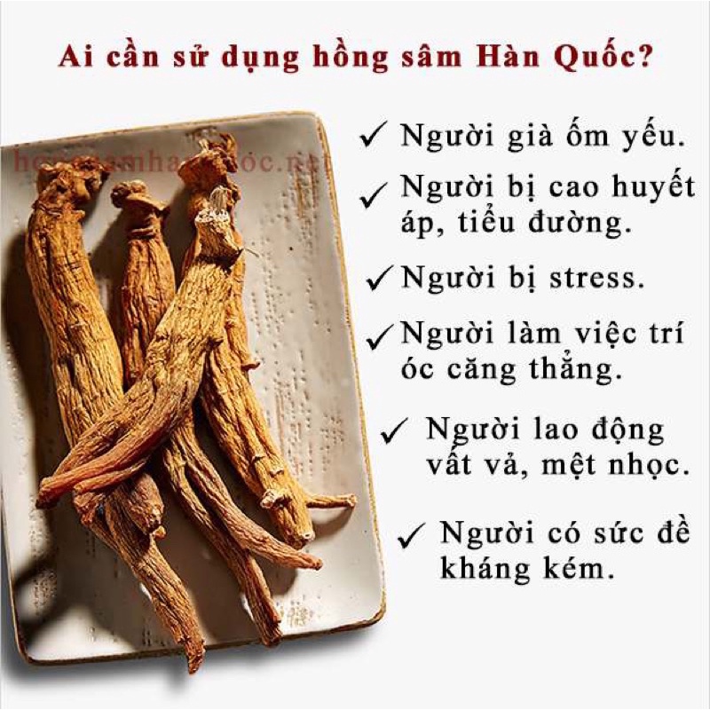[CHÍNH HÃNG] HỒNG SÂM SẤY DẺO ( Thơm Chuẩm )