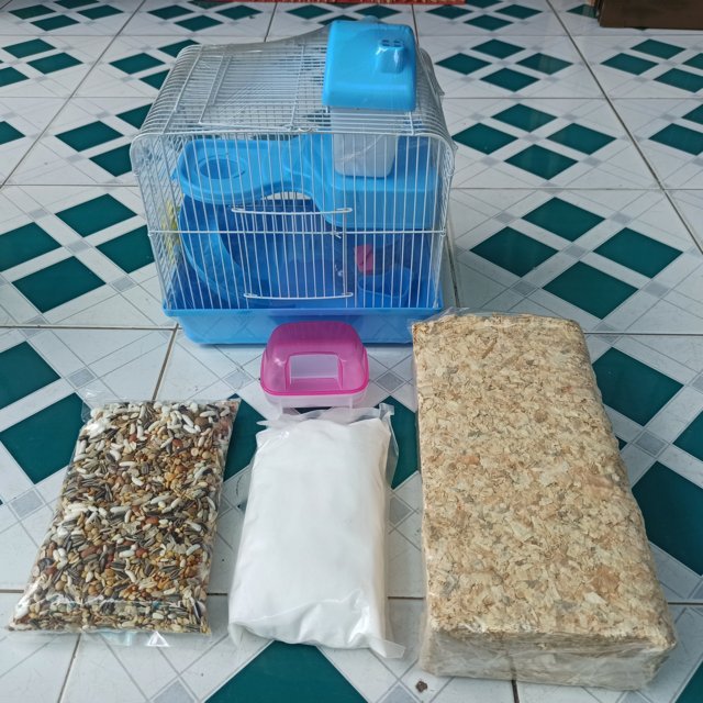 Combo vật dụng nuôi Hamster số 4