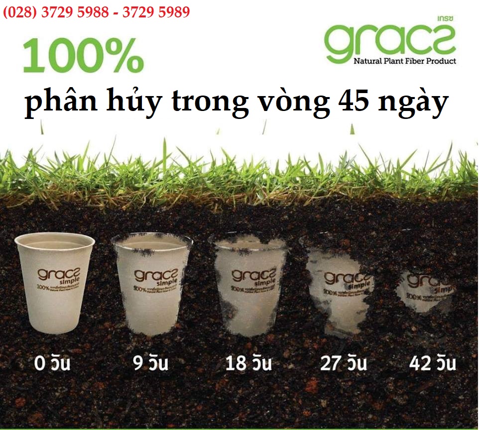 10 Ly bã mía Thái Lan 260ml (trắng)