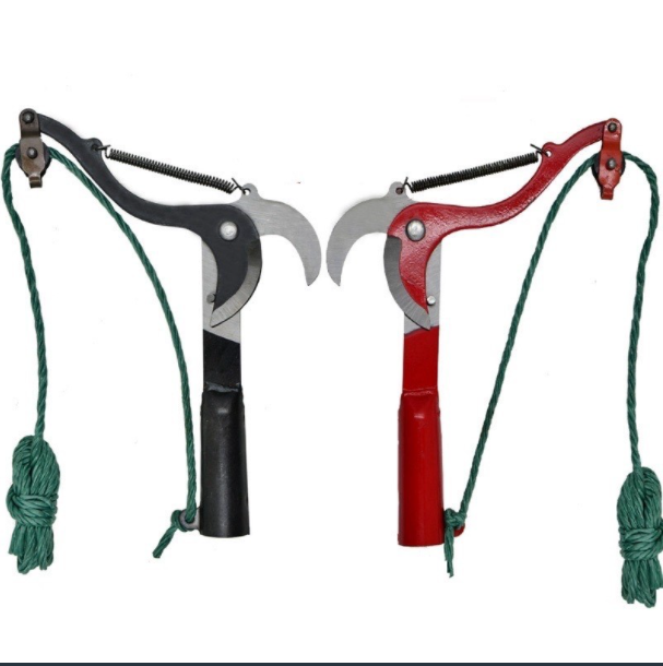 Đầu kéo cắt cành cắt cành cây hoa quả trên cao kèm dây kéo