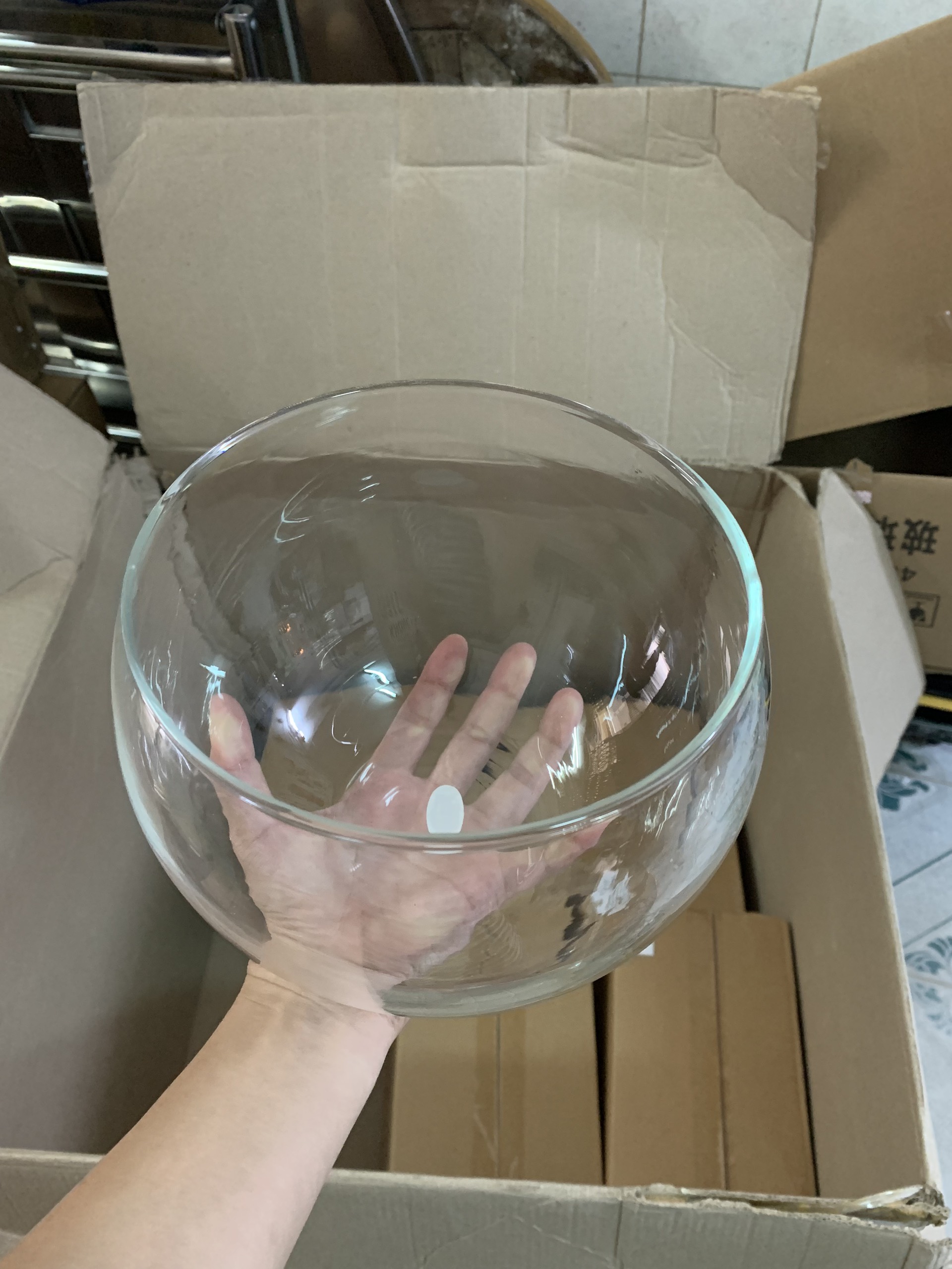 [HCM]Hồ Cá Thuỷ Tinh Tròn Bầu 24 x 16 Cm T02 Tặng Kèm Sỏi Và Rong Trang Trí.Cam kết hàng chất lượng giá tốt.