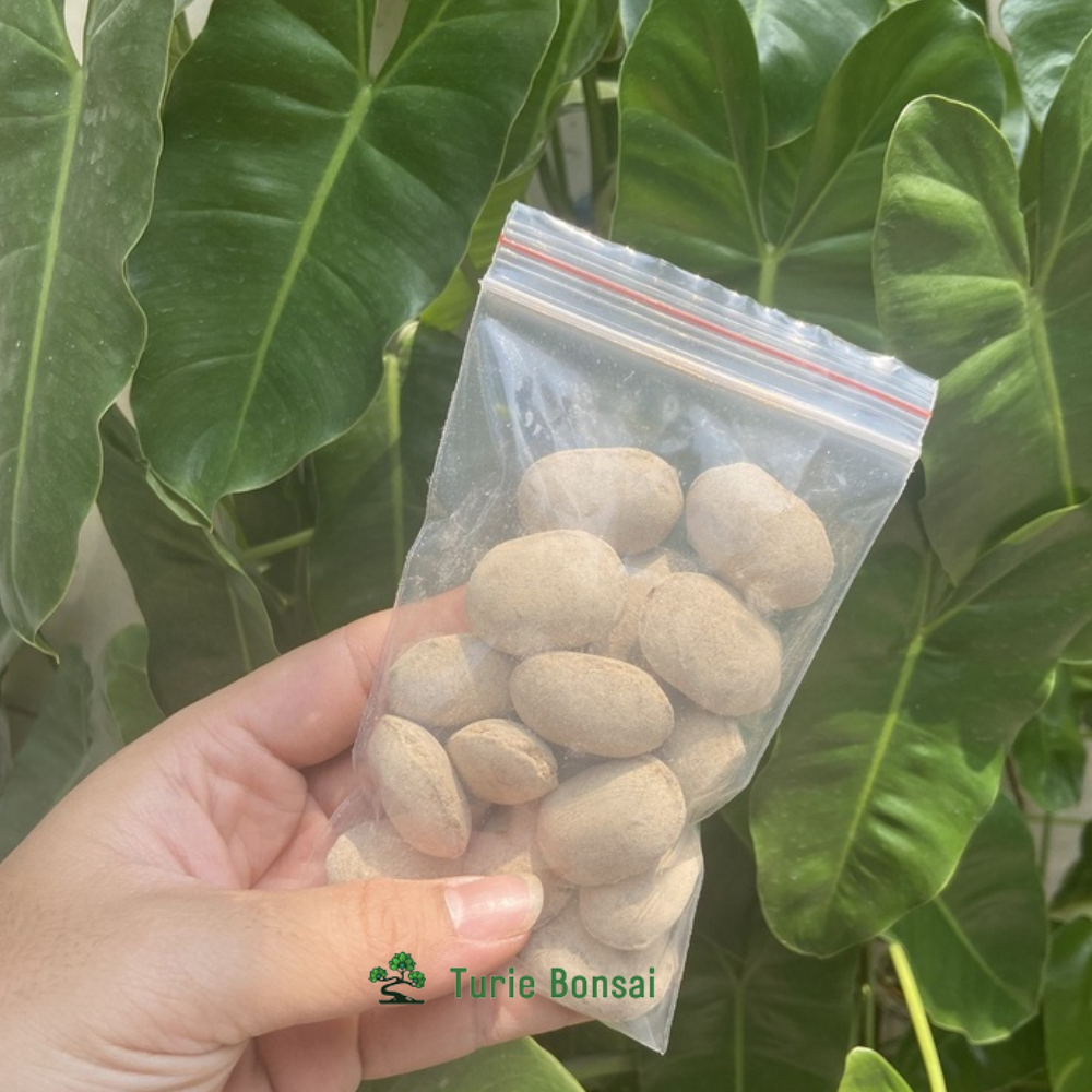 Phân hạt bàng Nhật Bản Phân tan chậm hữu cơ 12-6-6