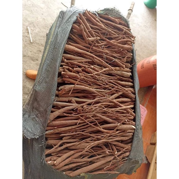 1kg sâm cau tiên mao