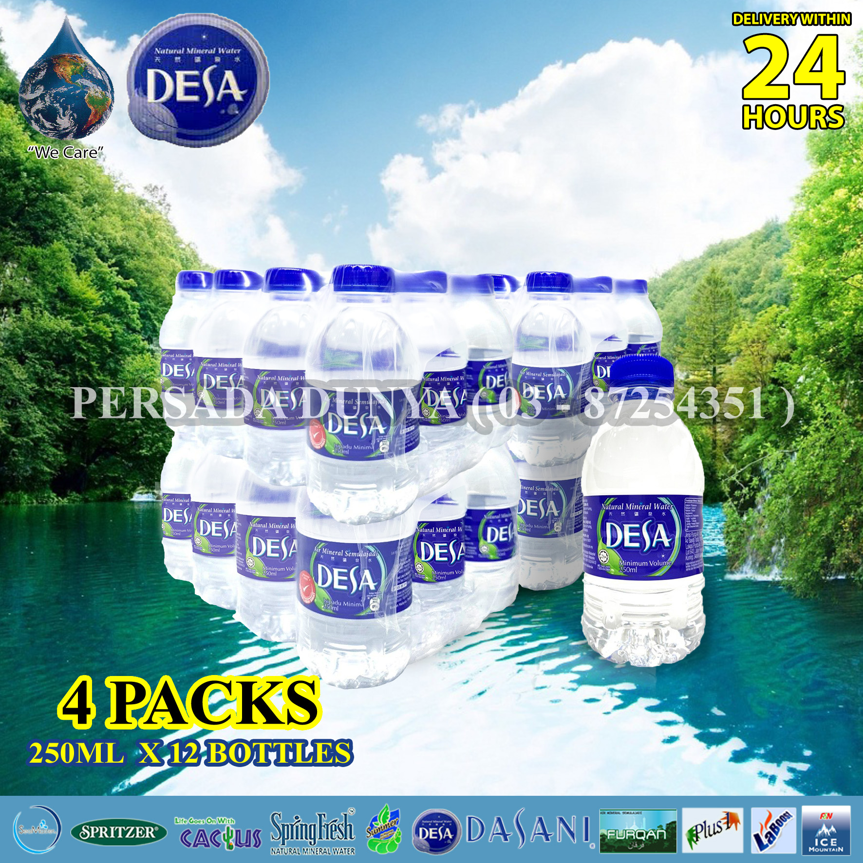 DESA Mineral Water (250ml x 12 Bottles x 4 Shrink Pack) Lazada
