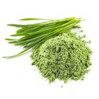 500g Bột cỏ lúa mì hữu cơ nguyên chất 100%