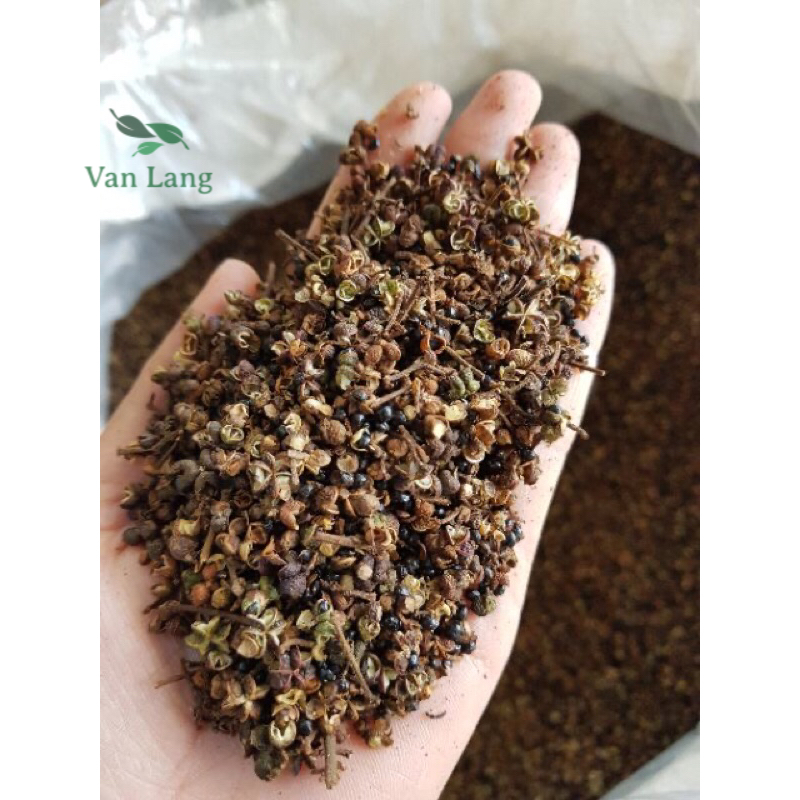 500 gram Hạt mắc khén rừng - hạt mắc khén Tây Bắc ướp thức ăn ,làm nước chấm - sỉ lẻ