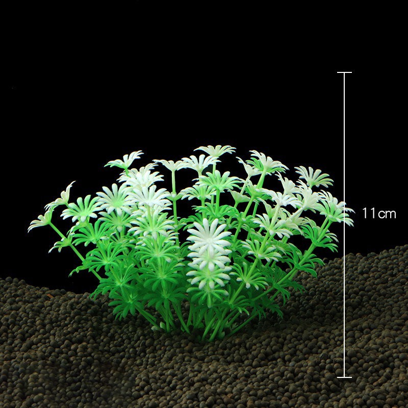 Cây Rong Trang Trí Bể Cá Size Vừa (Khoảng 12cm x 12cm Mỗi Cây) - Đồ Trang Trí Hồ Cá