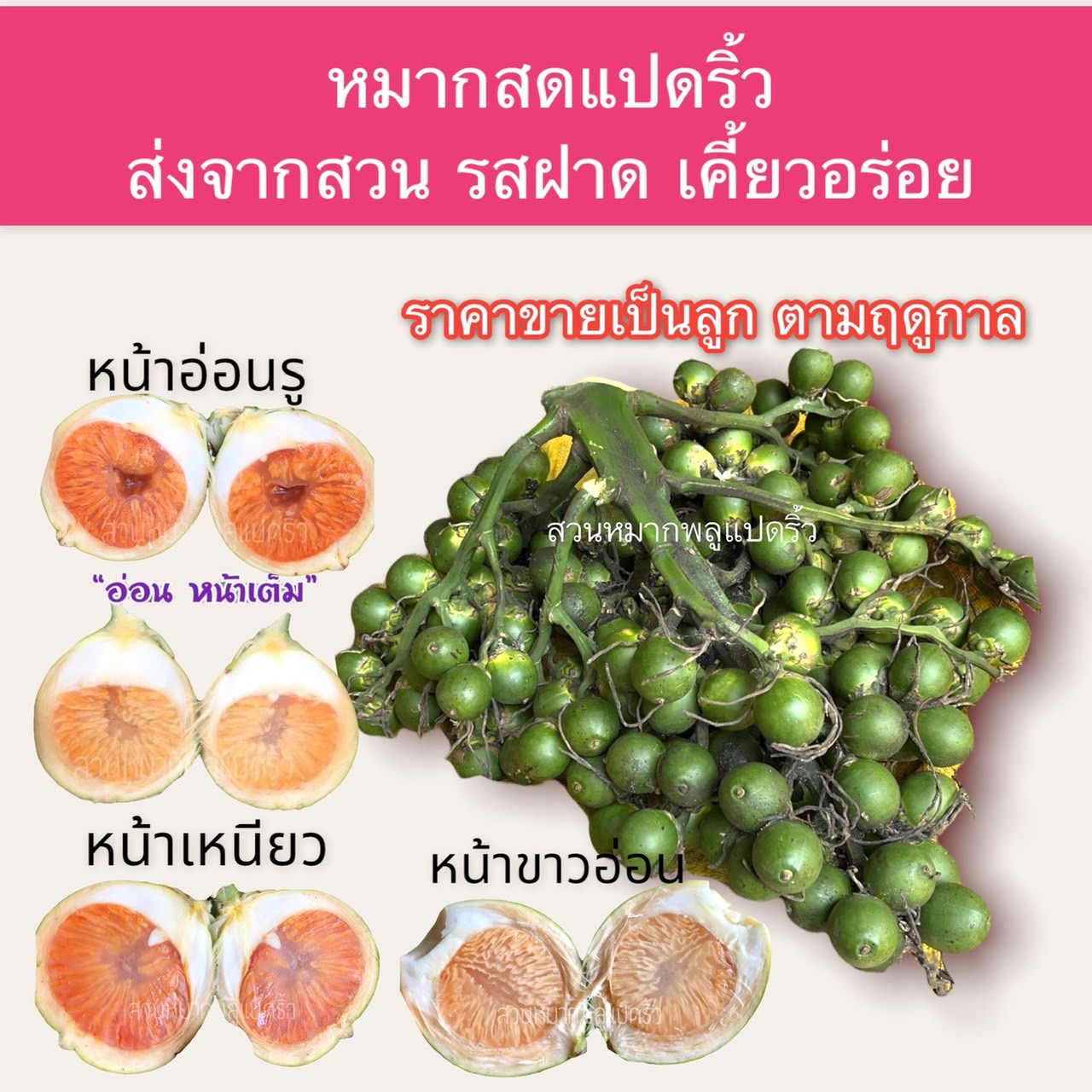 My Image 28