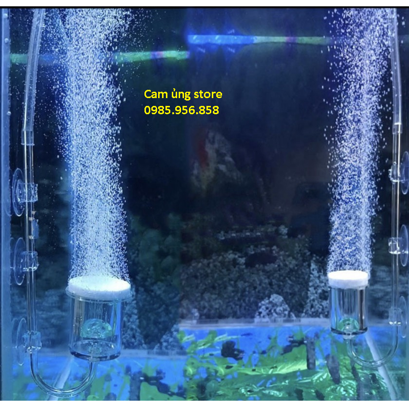 Cốc sủi oxi siêu mịn - Cốc sủi oxi giá tốt nhất