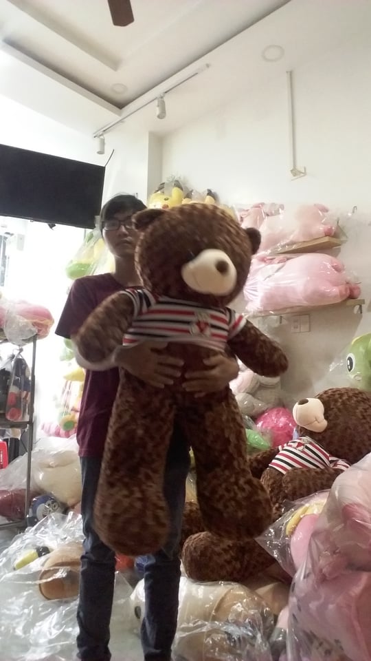 Gấu bông teddy size 1m85-1m9