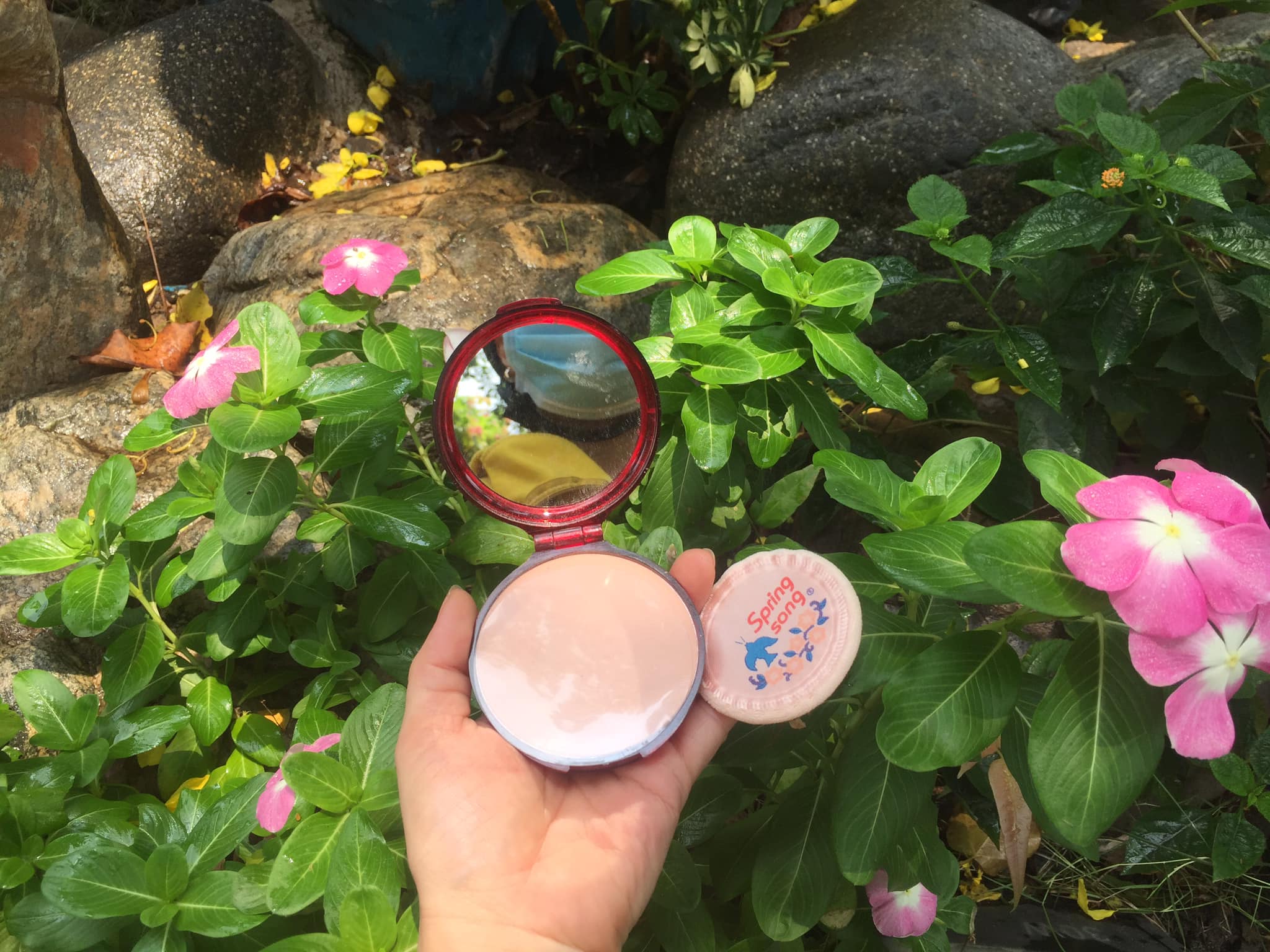 Phấn phủ trang điểm Thái Lan con chim Én 15 g