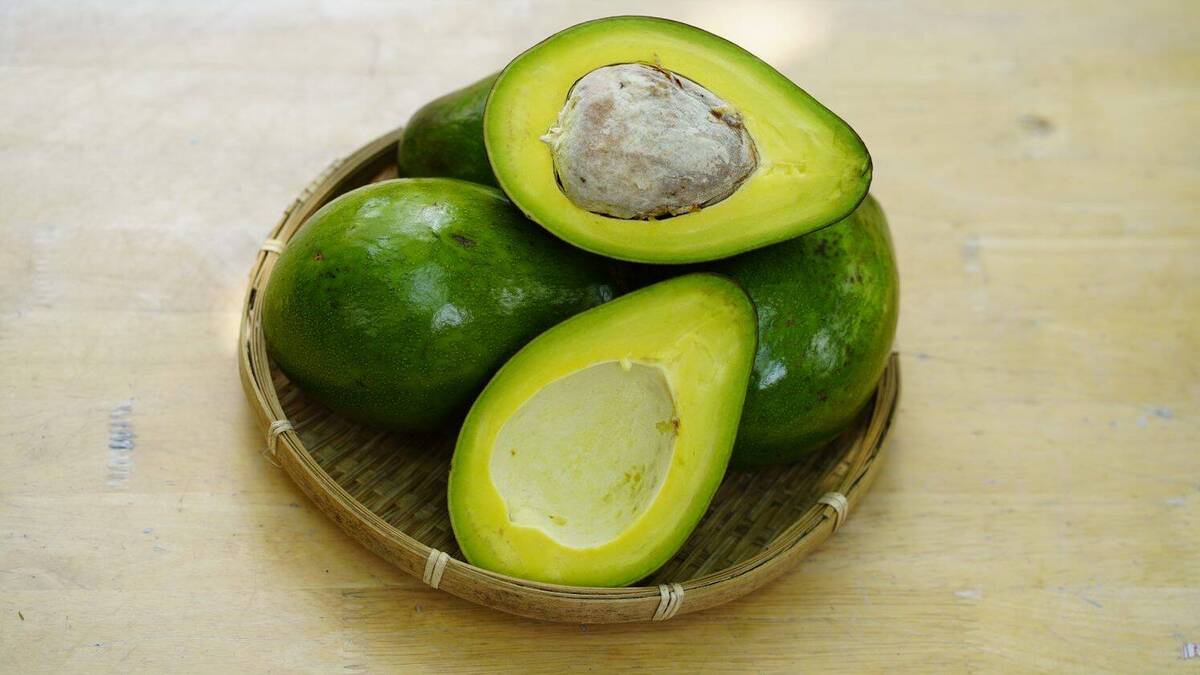 Bơ 034 Béo Thơm - Túi 1kg (3-4 Trái) - Foodmap Fruit