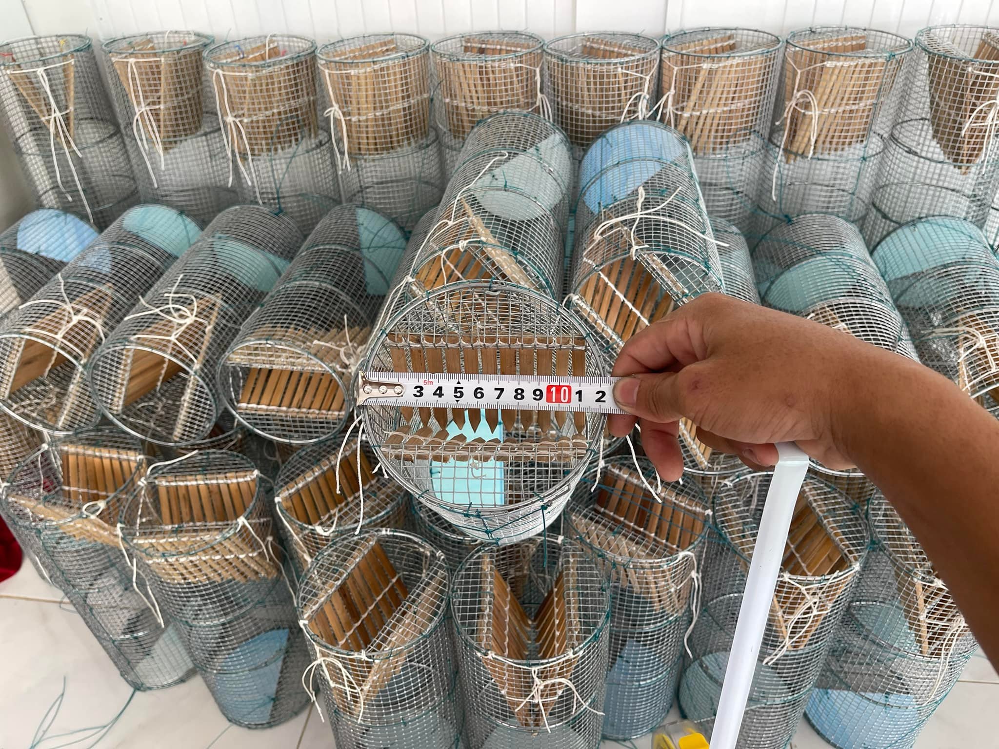 5 Lợp ếch hom tre