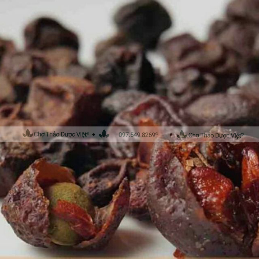 Hạt mắc mật khô 100g ( Hạt móc mật gia vị Tây Bắc tẩm ướp thịt quay) - Chợ Thảo Dược Việt