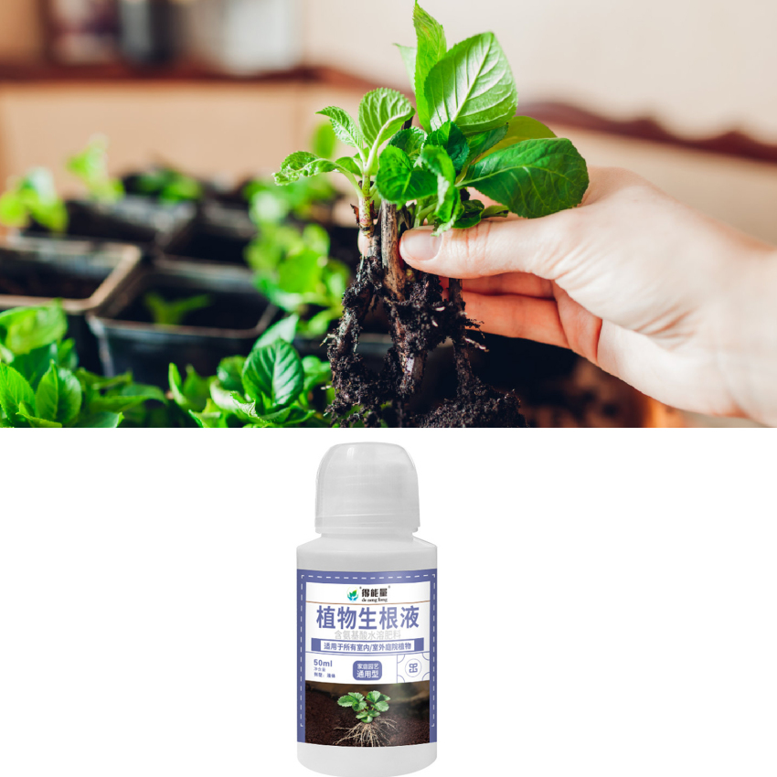 Fast Rooting Stimulator Plant Rapid Rooting Agent Root Stimulator For Plants Root Supplement For Houseplant Garden Supplies