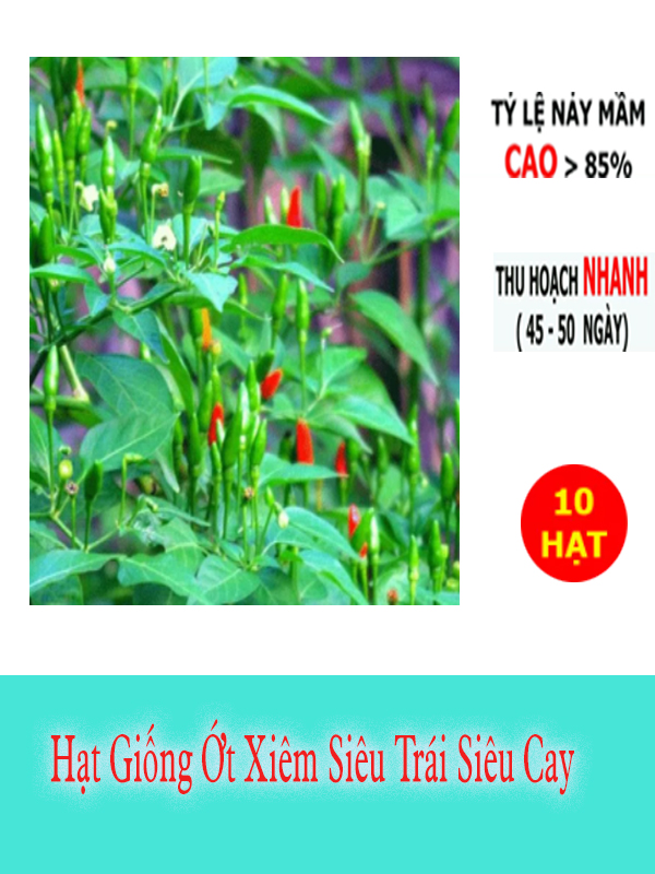 Hạt Giống Ớt Xiêm Thái Lan