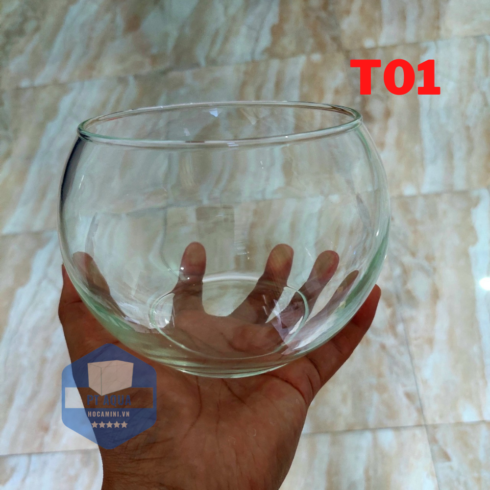 [Hoàn Tiền 10%] Chậu thủy tinh mini , Bể cá mini để bàn