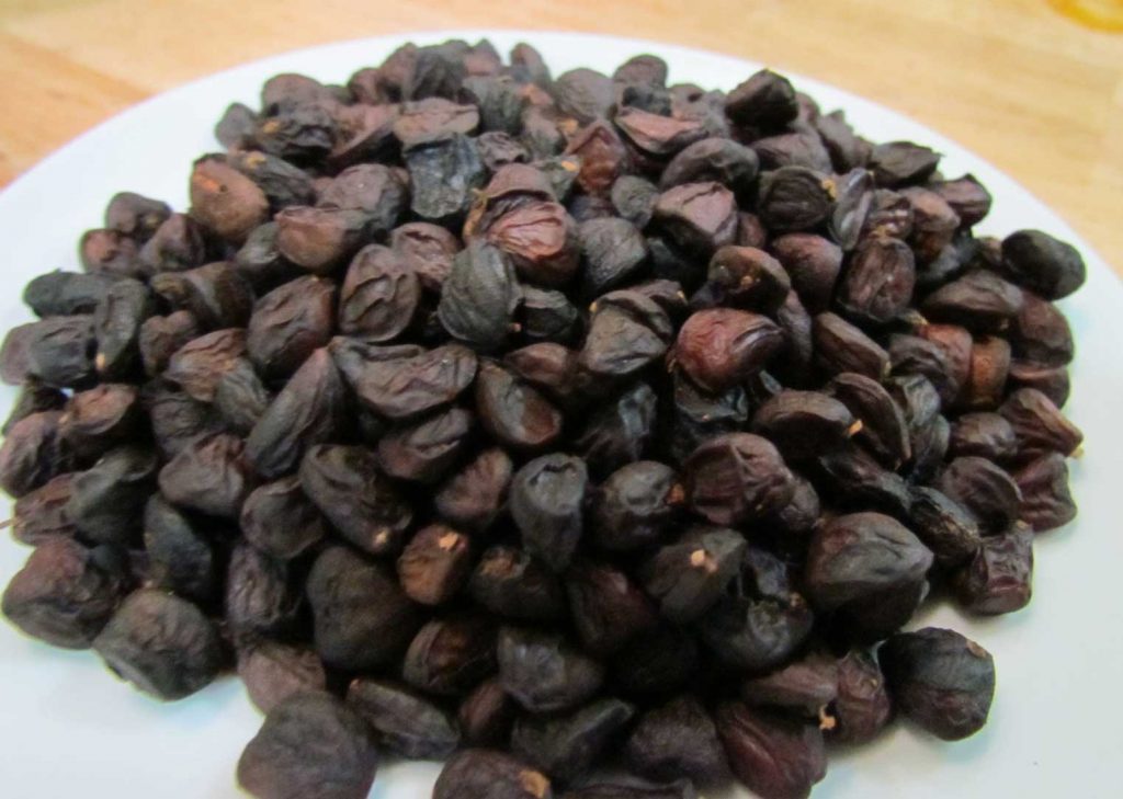 hạt dổi rừng tây bắc loại 1