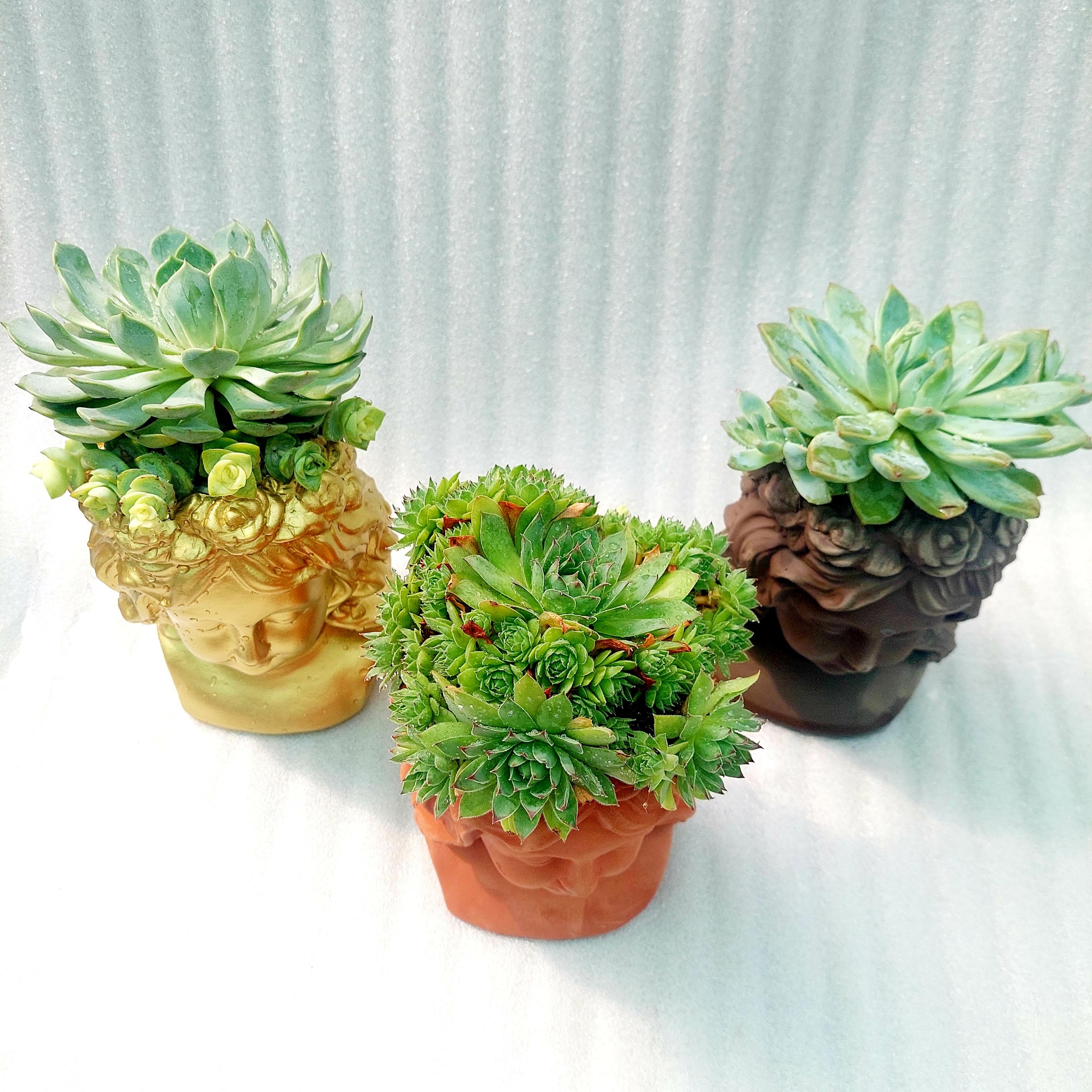 Chậu đất nung - Cô gái Ana, miệng chậu 10cm, chiều 20cm