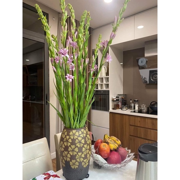 Củ Hoa Huệ Tím Kép Siêu Thơm ( Nhập Khẩu)