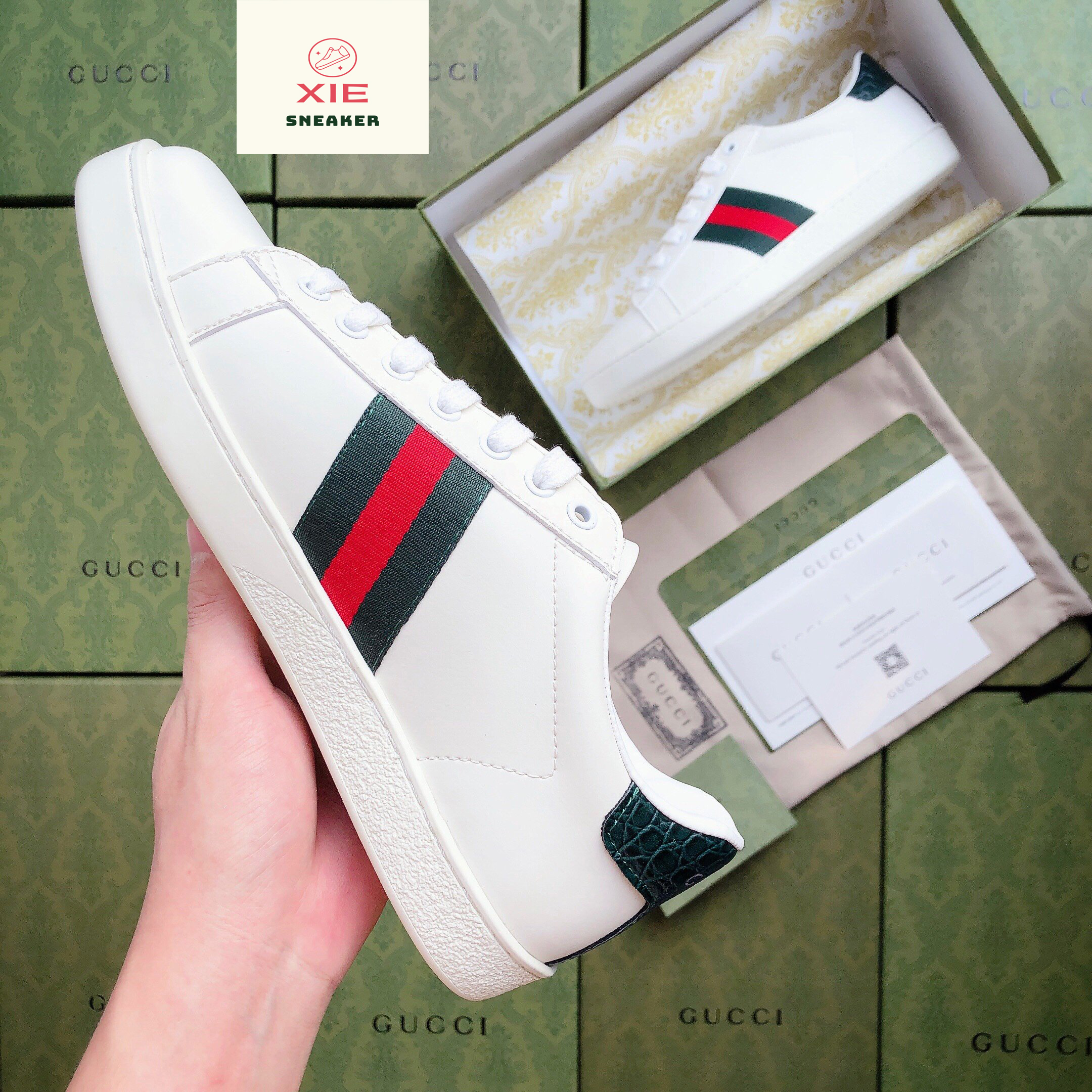Giày Gucci ACE Trơn - 1.1 + [Tặng thêm 1 bộ dây + FreeShip + Full Box + Bill + Phụ Kiện]