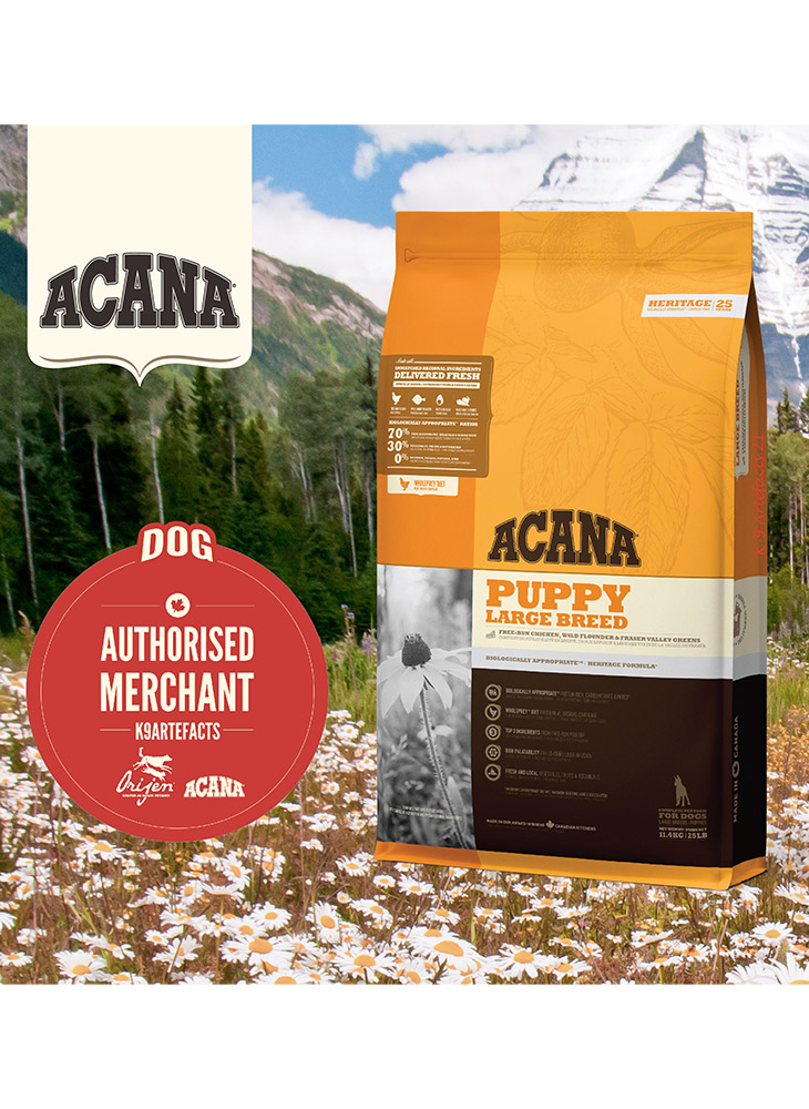 acana large puppy food