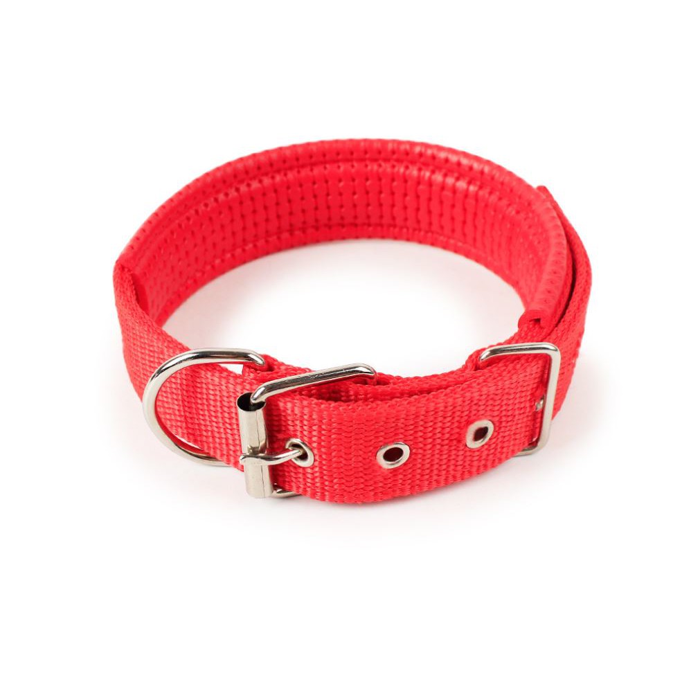 Dây đeo cổ cho chó, có thể gắn xích - Phụ kiện Long Vũ